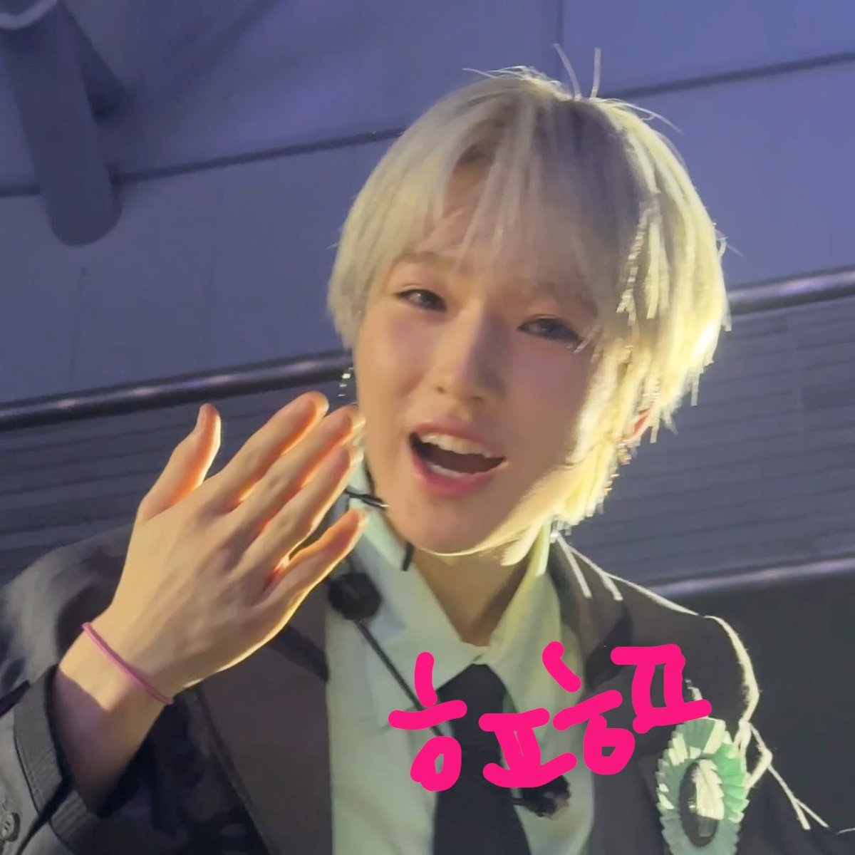 해피히포 tweet media