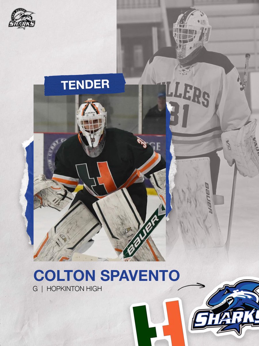 Long Beach Sharks tweet media