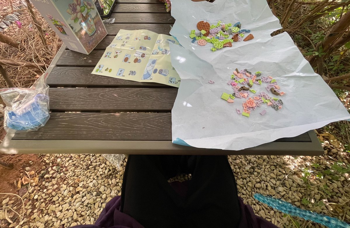 Dawn is the name tweet media