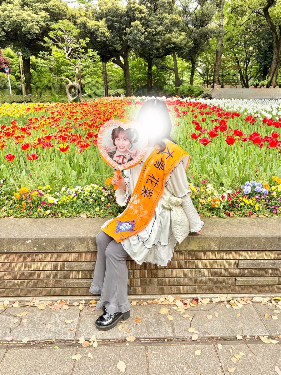 るぴまる tweet media