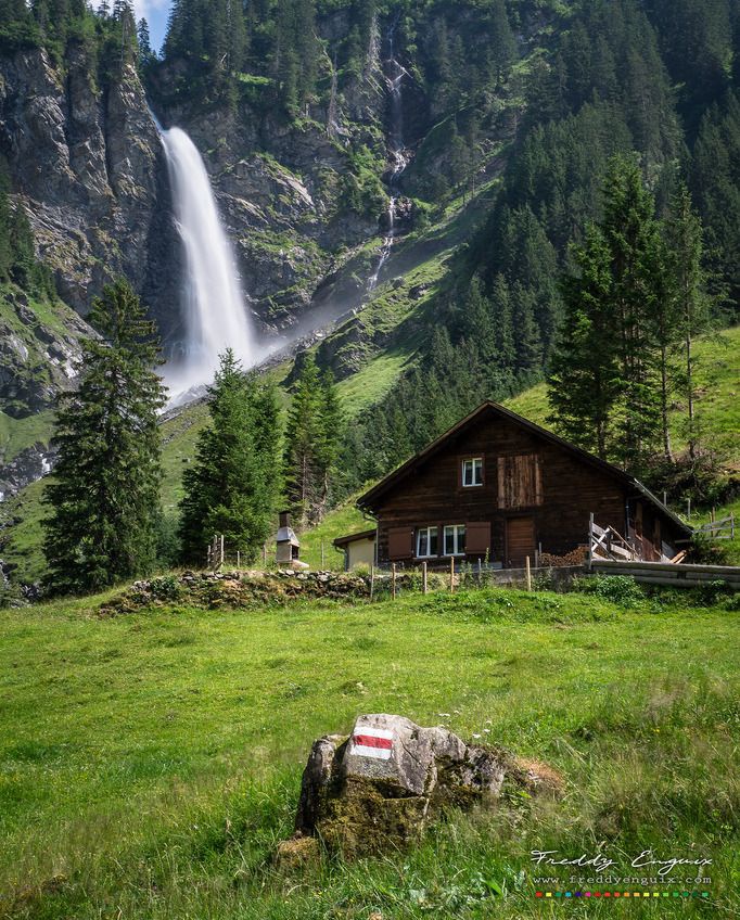 The Nature tweet media