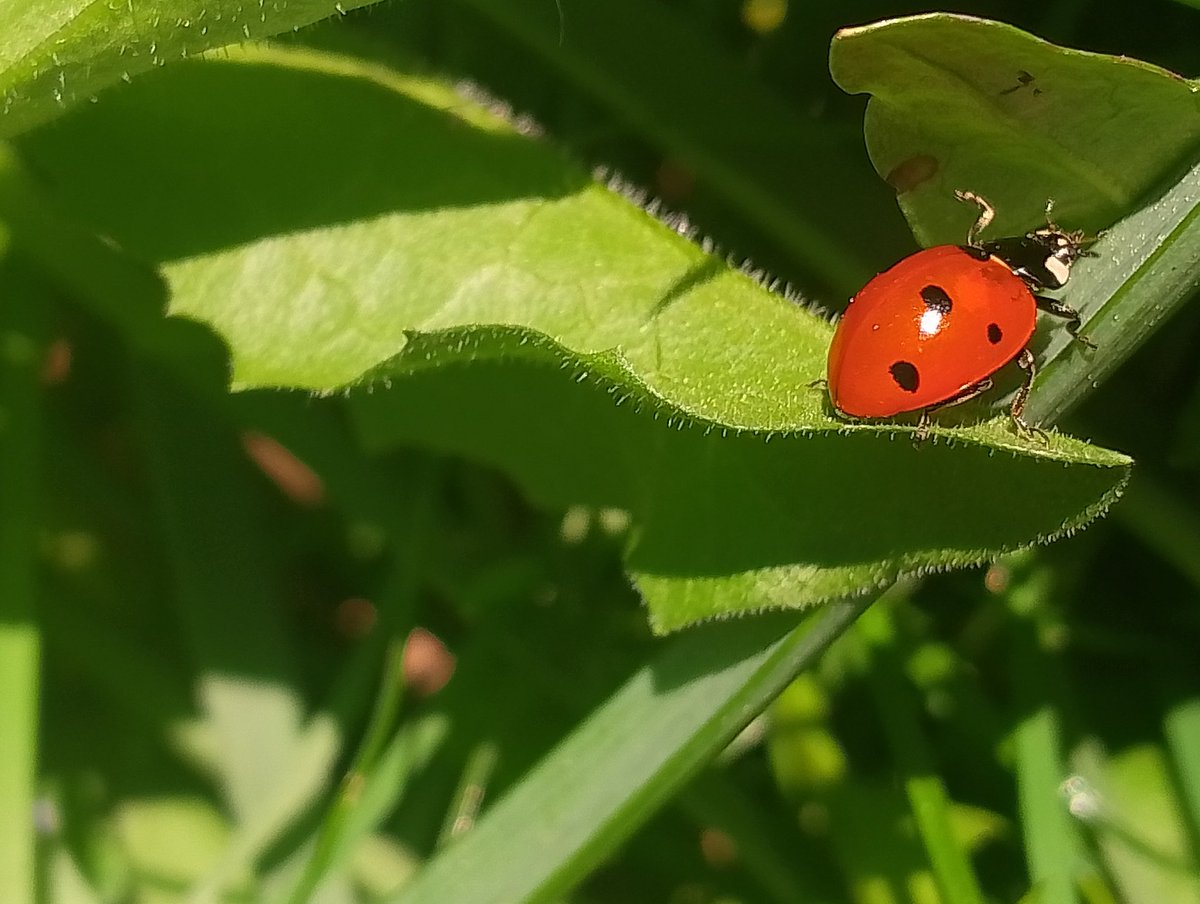 sve jeste i ništa nije tweet media