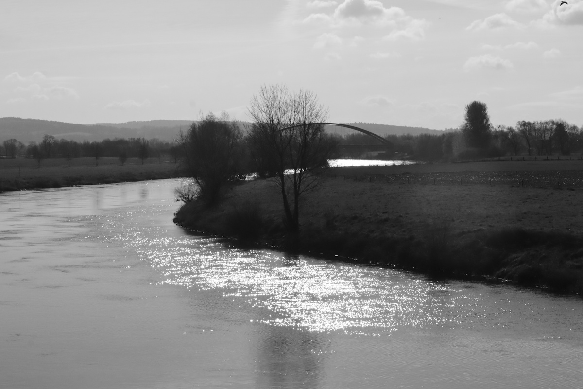 DrCKaiser's tweet image. #photo #Photography #landscape #monochrome #blackandwhite #trees #river #sunlight #nature #blackandwhitephotography #landscapephotography