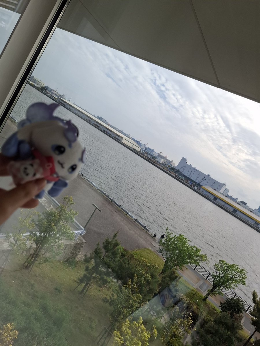 わふー深愛 tweet media