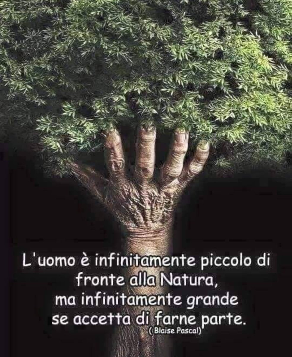 ElsaMessilaElsa's tweet image. Le foreste pluviali ci insegnano la straordinaria resilienza della natura: in soli 30 anni possono rinascere più forti. Proteggerle è fondamentale per il futuro del nostro pianeta e per la nostra stessa sopravvivenza. »
#SaveSoil