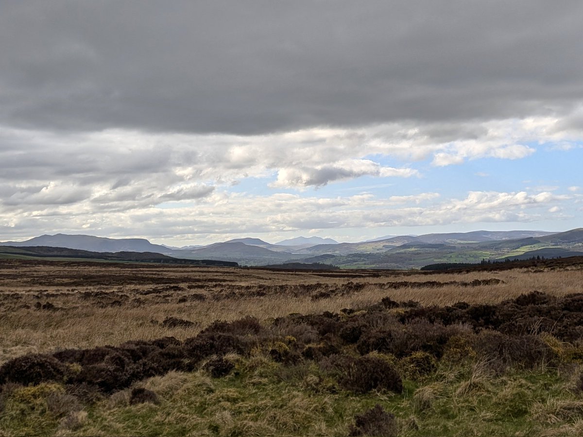 OperaCreep's tweet image. #pretty