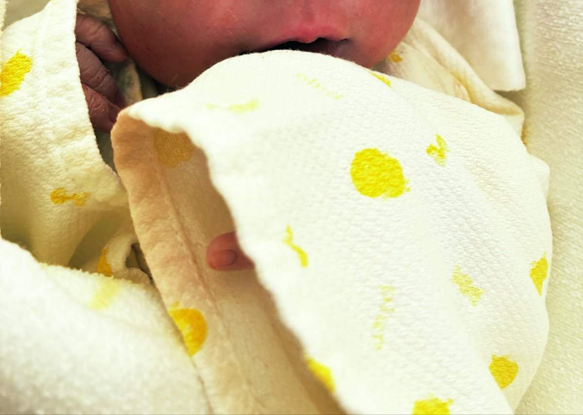 八朔🦦☺︎38w tweet media