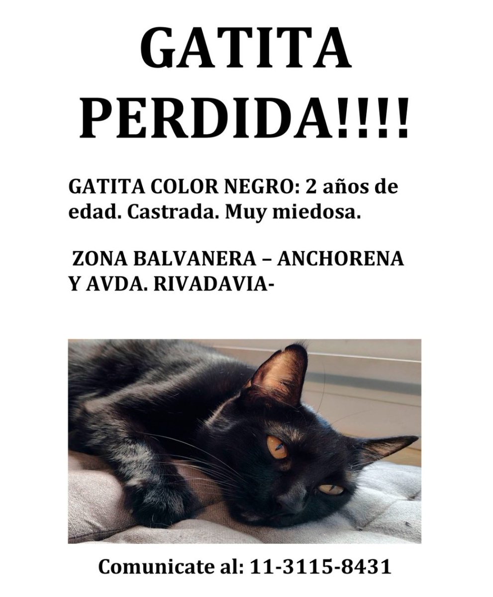 ✌Lore madre de ositos 🇦🇷 tweet media