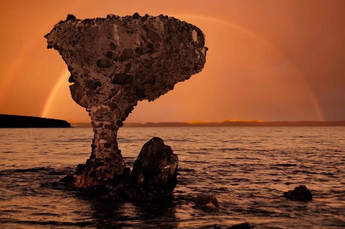 SECTUR México tweet media