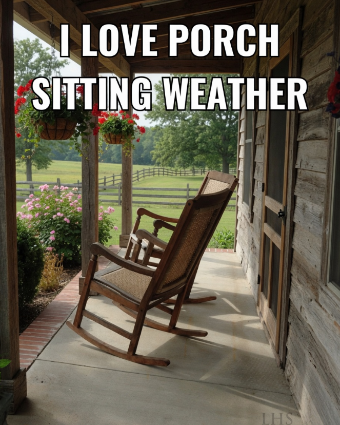 lisahsmithlhs tweet media