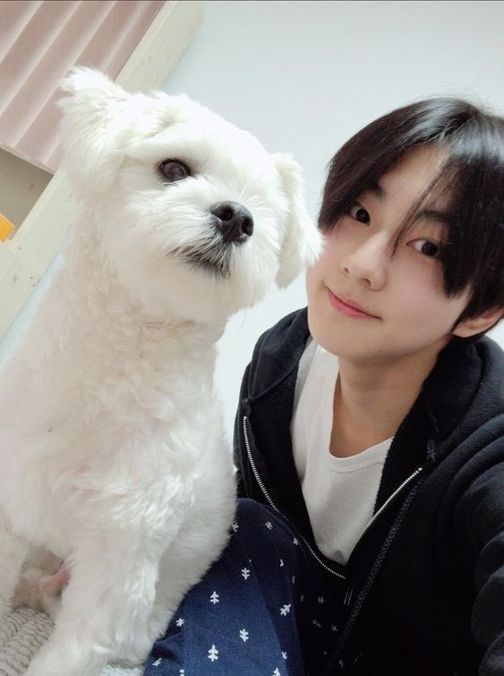 jungwon’s babies celebrating their birthdays today