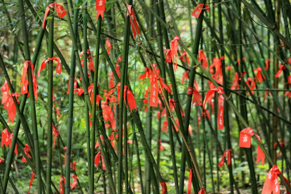 ร้านขายพอต VAPESHOP พร้อมส่งด่วน24ชม. tweet media