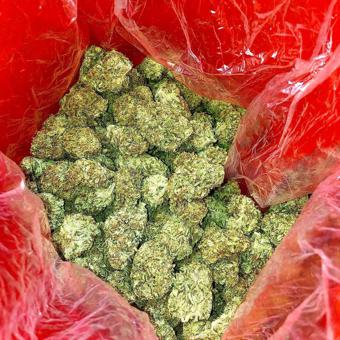 SUBXWA1's tweet photo. Good Morning 🌞 Successful Stoners https://t.co/g1PVYCYw3M