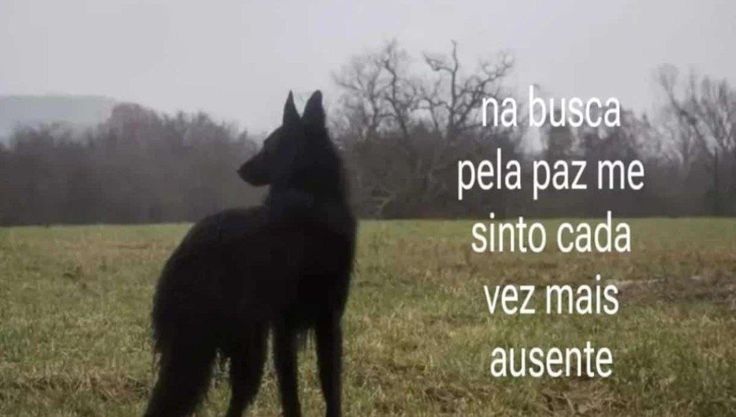 orlas (@orlandinhoog) on Twitter photo 