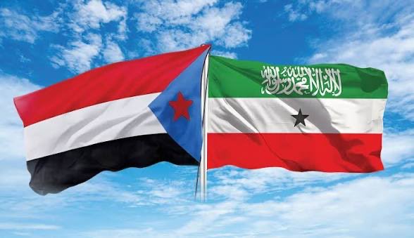 هاني مسهور tweet media