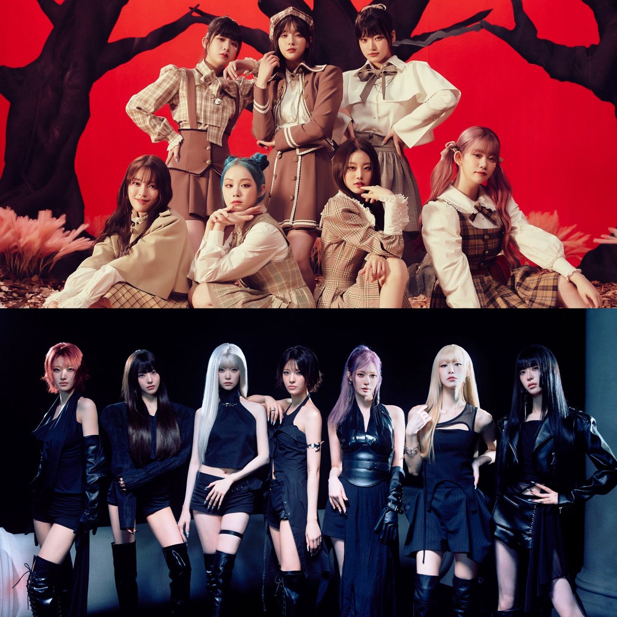 ✹ #ZAP tweet media