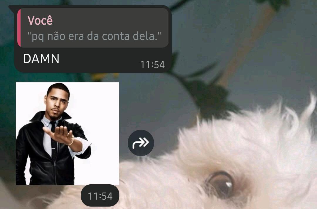 fumanda tweet media