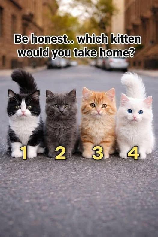 Sara Mary ⭐❤️ tweet media