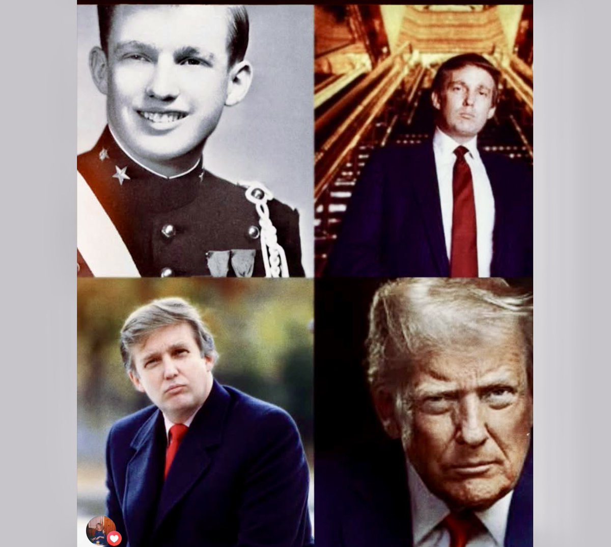 American Patriot tweet media