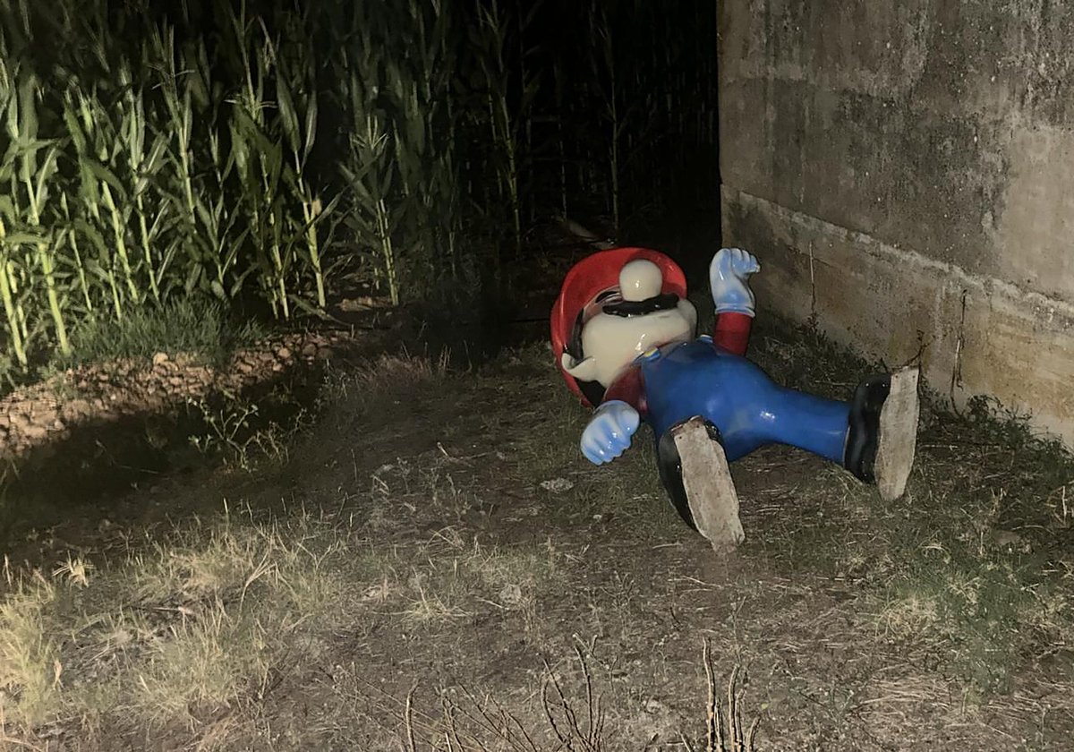 Jorge🐧🦆 🤡 tweet media