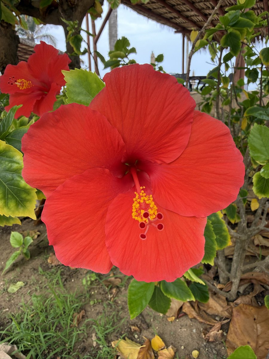 Aquí y ahora ! 🌼 ❤️