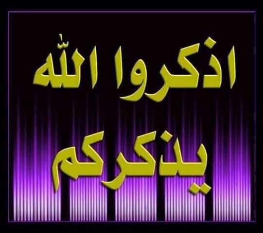 زيد علي الثلاياء tweet media