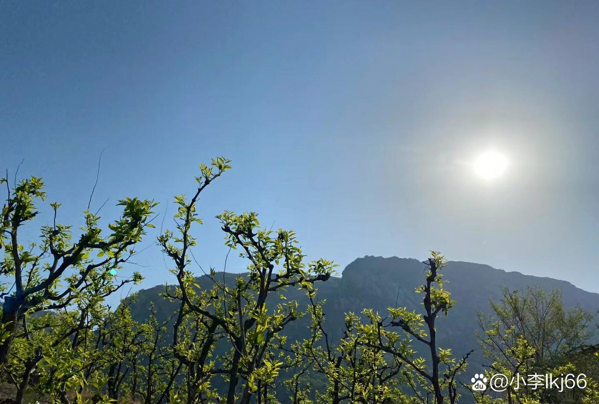 Владислав tweet media