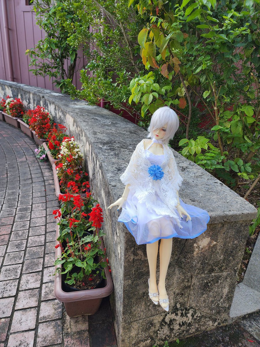 じじぃ tweet media