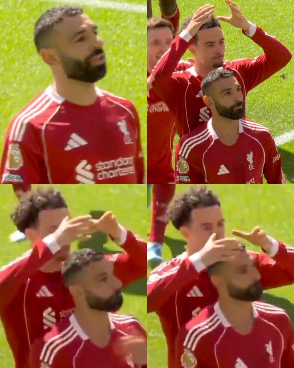 Invictos tweet media