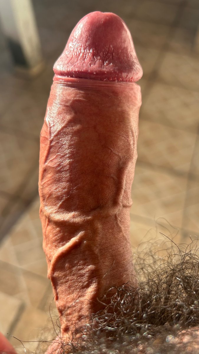 Ativo Alto tweet media