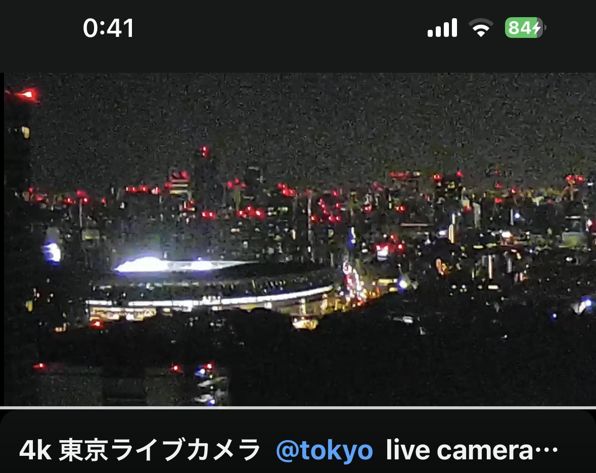 ぴっぴ tweet media