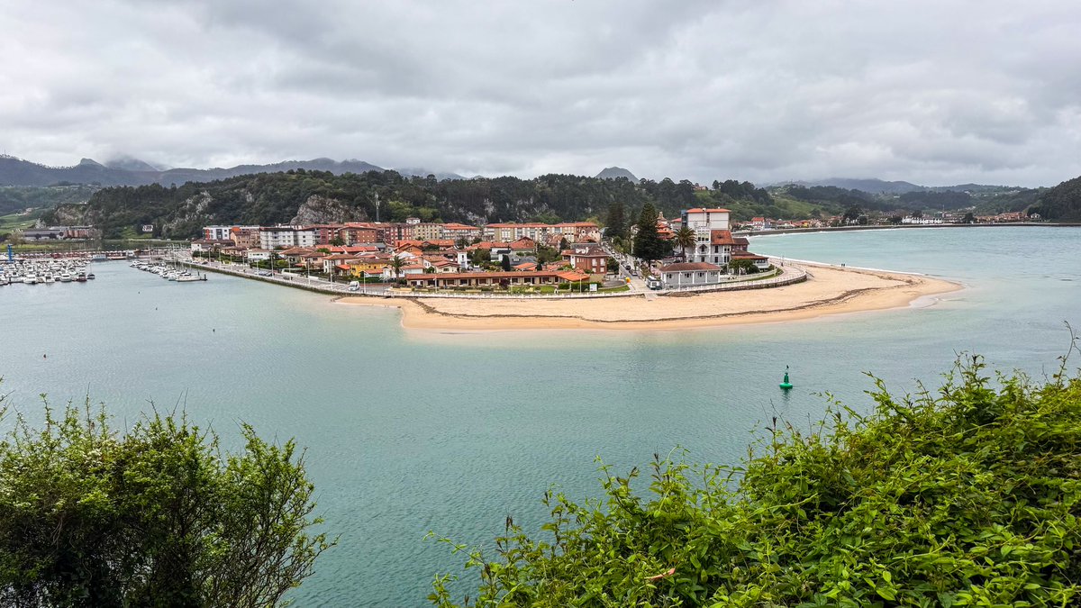 meery✨ tweet media