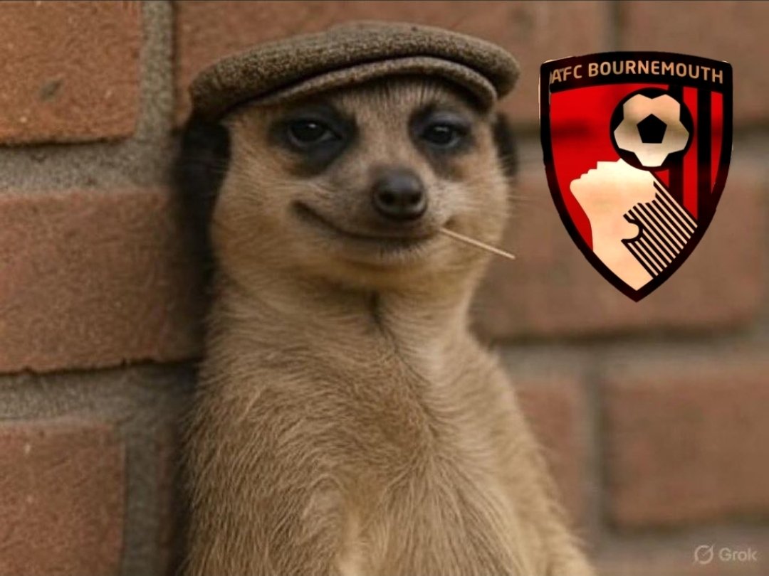 Krusty83 tweet media