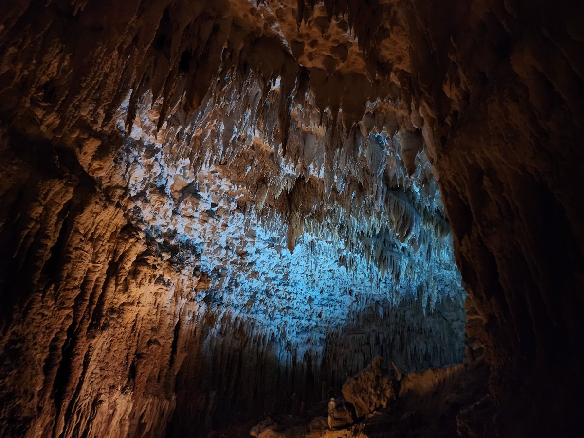 じじぃ tweet media