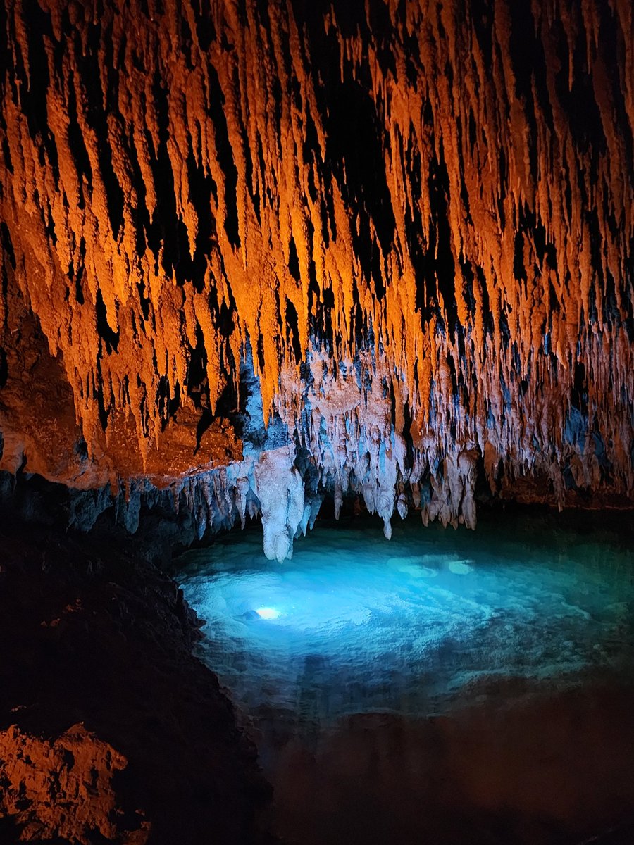 じじぃ tweet media