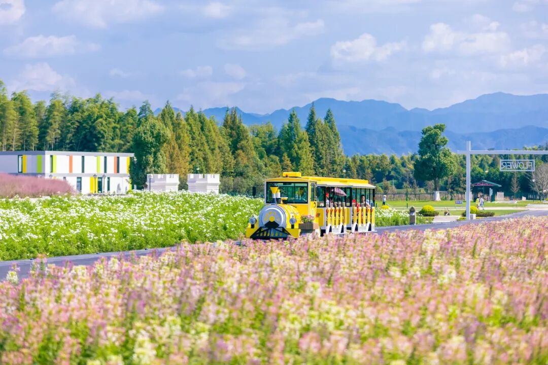 Fairylandofcn's tweet image. 🚂 Hop on a vintage little train, slowly cruising through flower fields, tea gardens, and lakes —
breeze carries the scent of blossoms, healing all your tiredness. 🌸🍃💨
#SlowTravel #WuyiHealing #SpringVibes