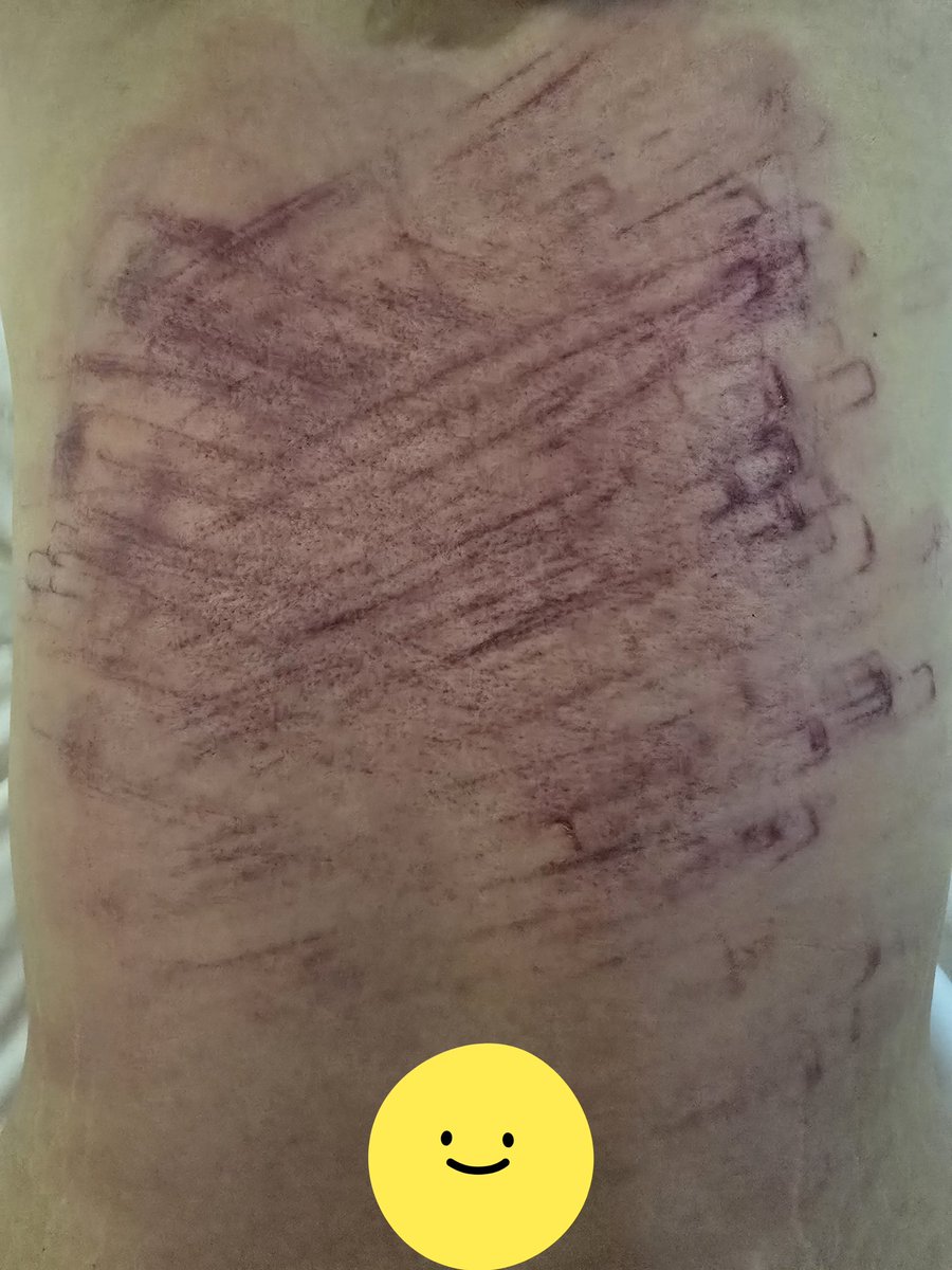 독군주 tweet media