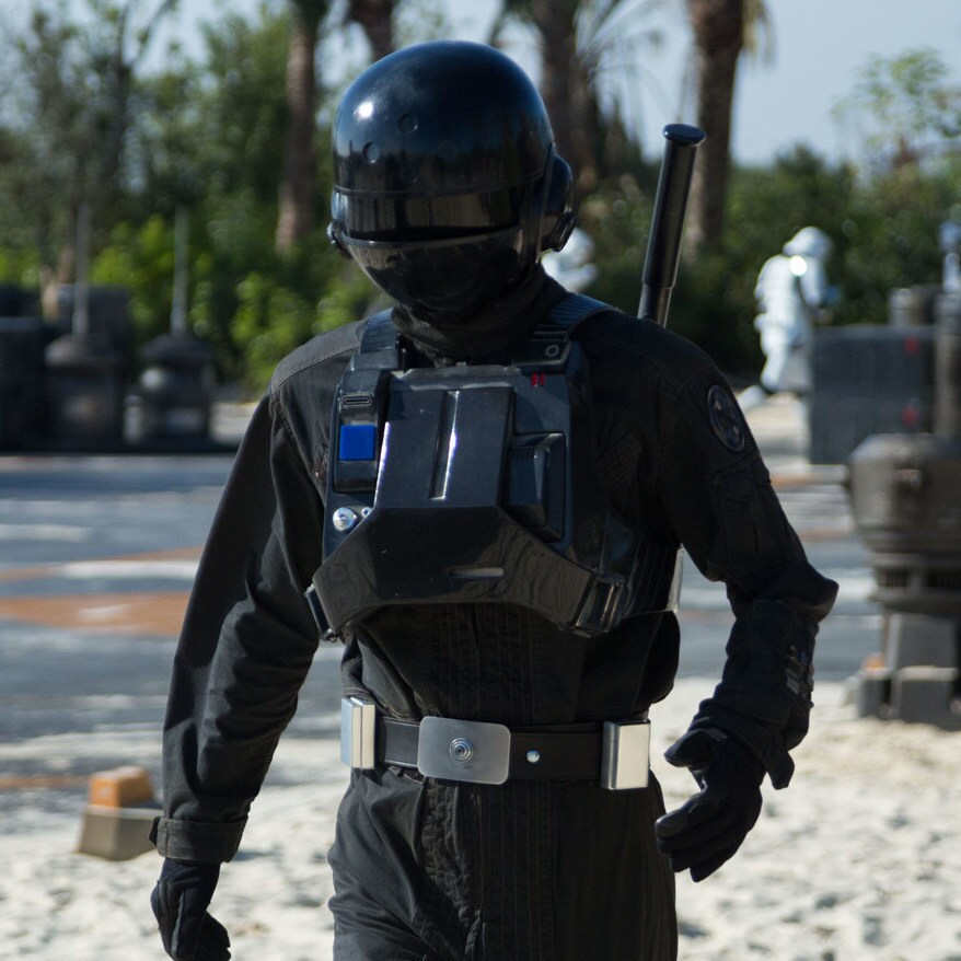 MA5K CEO tweet media