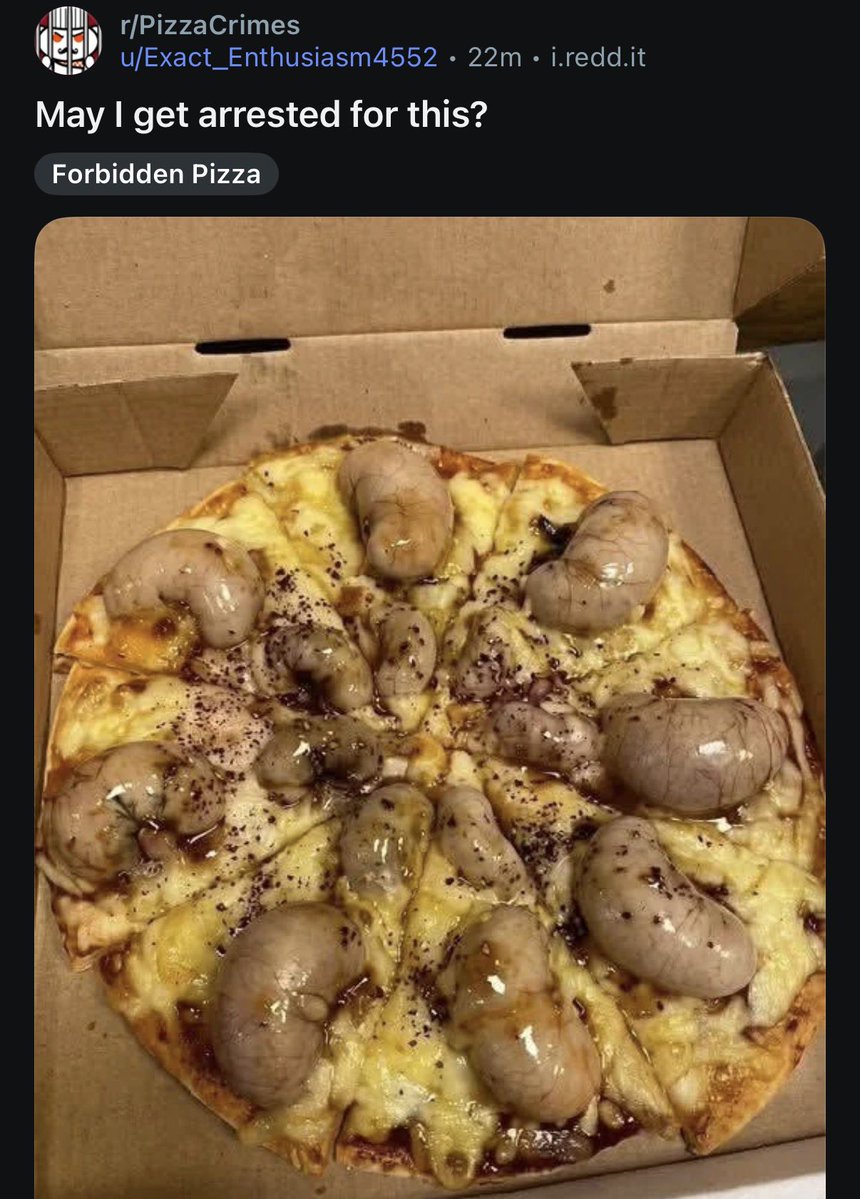 Hazel Appleyard tweet media