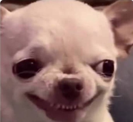 only1frosh tweet media