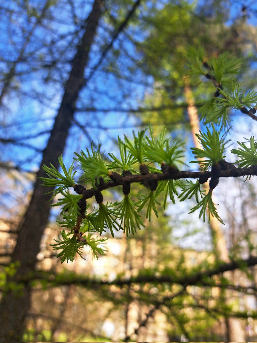 полночь🌙 tweet media