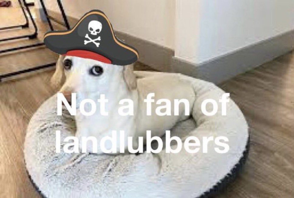 Can someone put me in tamagotchi life? I’m very whimsical!