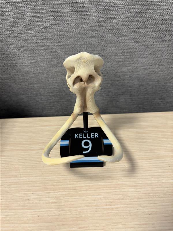 MAMMOTH FANS 🦣 
In honor of the playoffs starting today, we are running a promo on our Mammoth skull puck displays. Promo code  PLAYOFFS26 we’ll get you 15% off, but that number will increase each round the mammoth advance! 
#tusksup 

ts20designs.etsy.com/listing/187197…