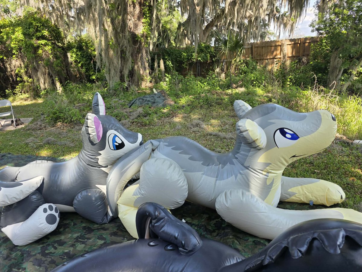 Donutseads's tweet photo. Squeaky day #1 is in the books. https://t.co/KsscsGDqBa