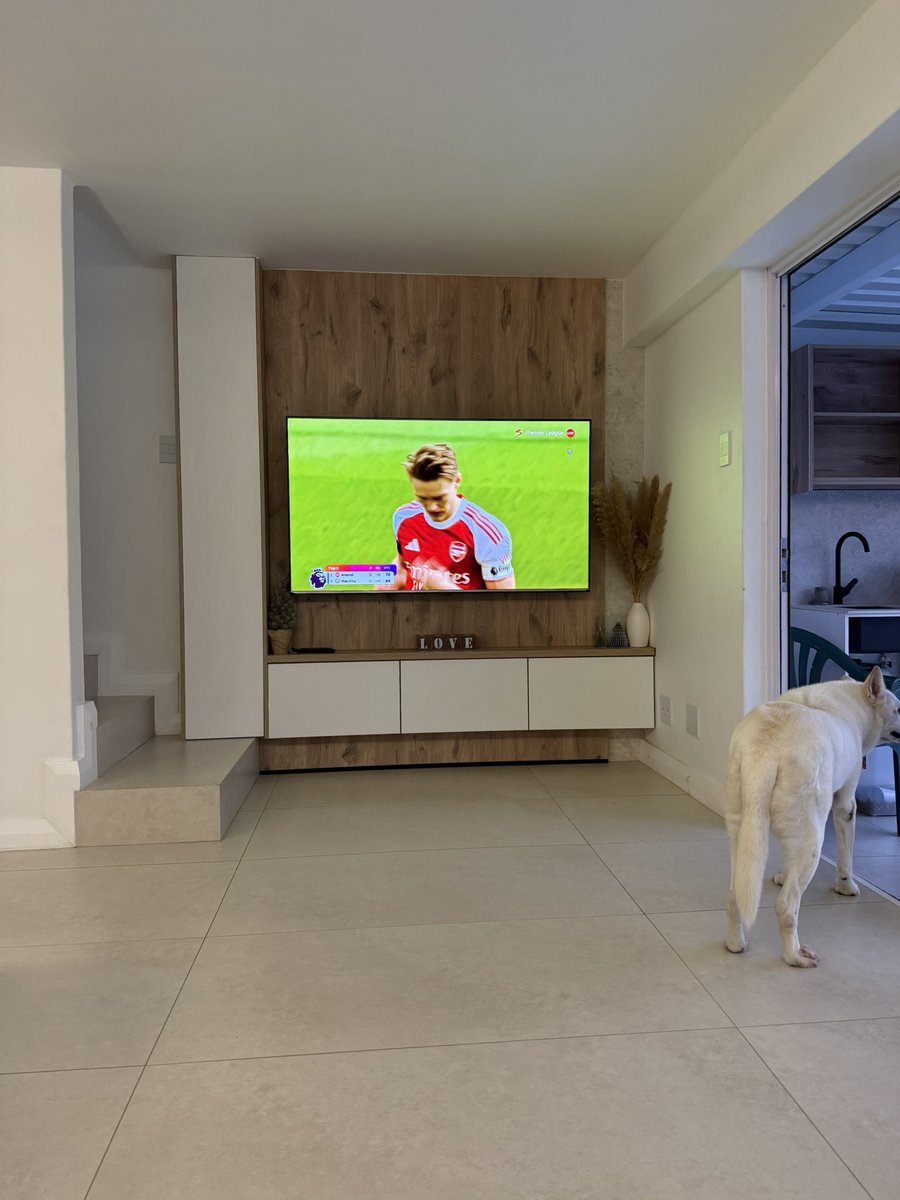 adam lipschitz tweet media