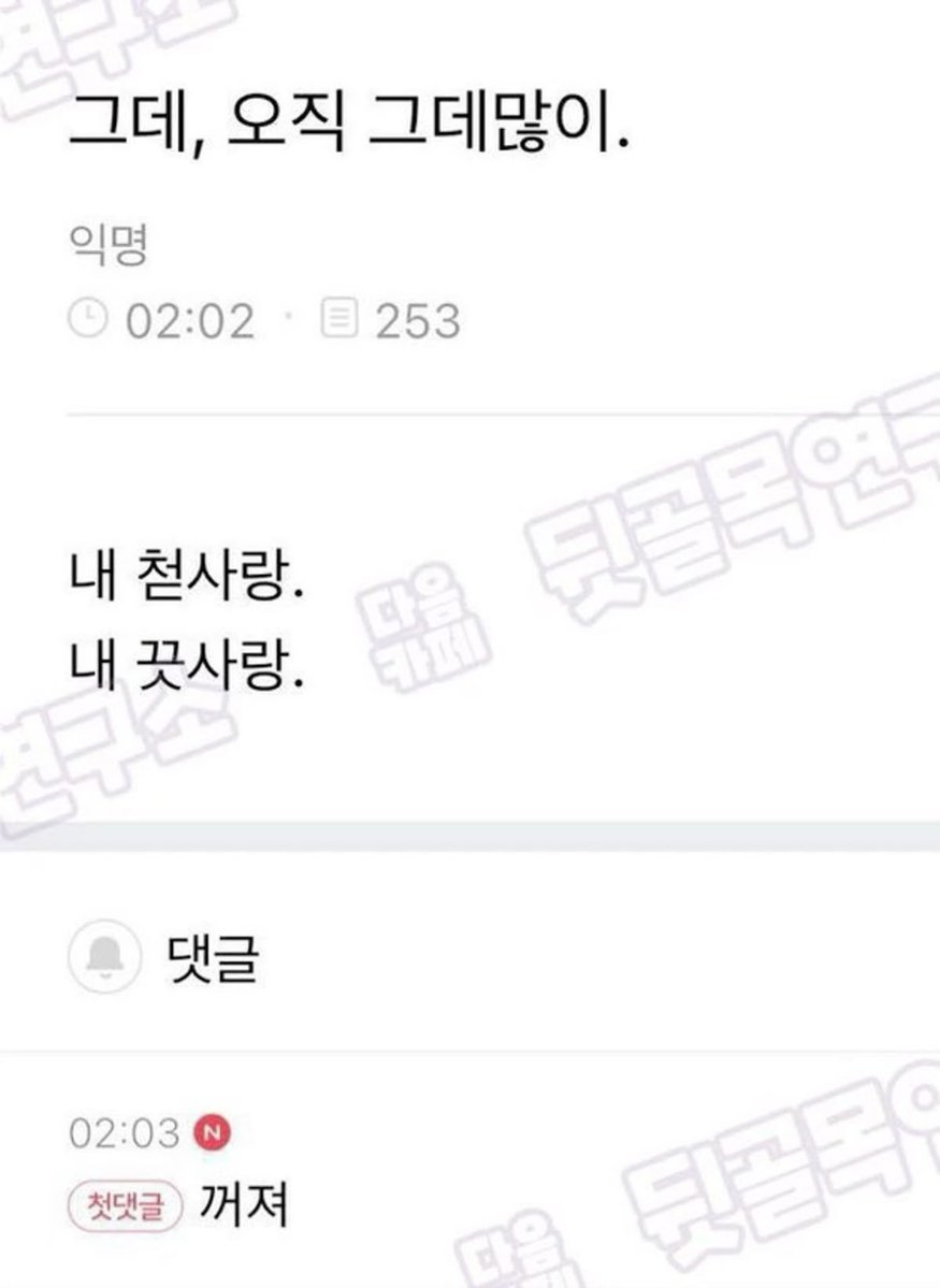 미더덕 tweet media