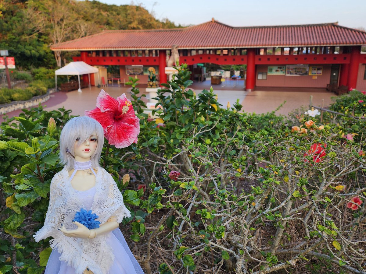 じじぃ tweet media