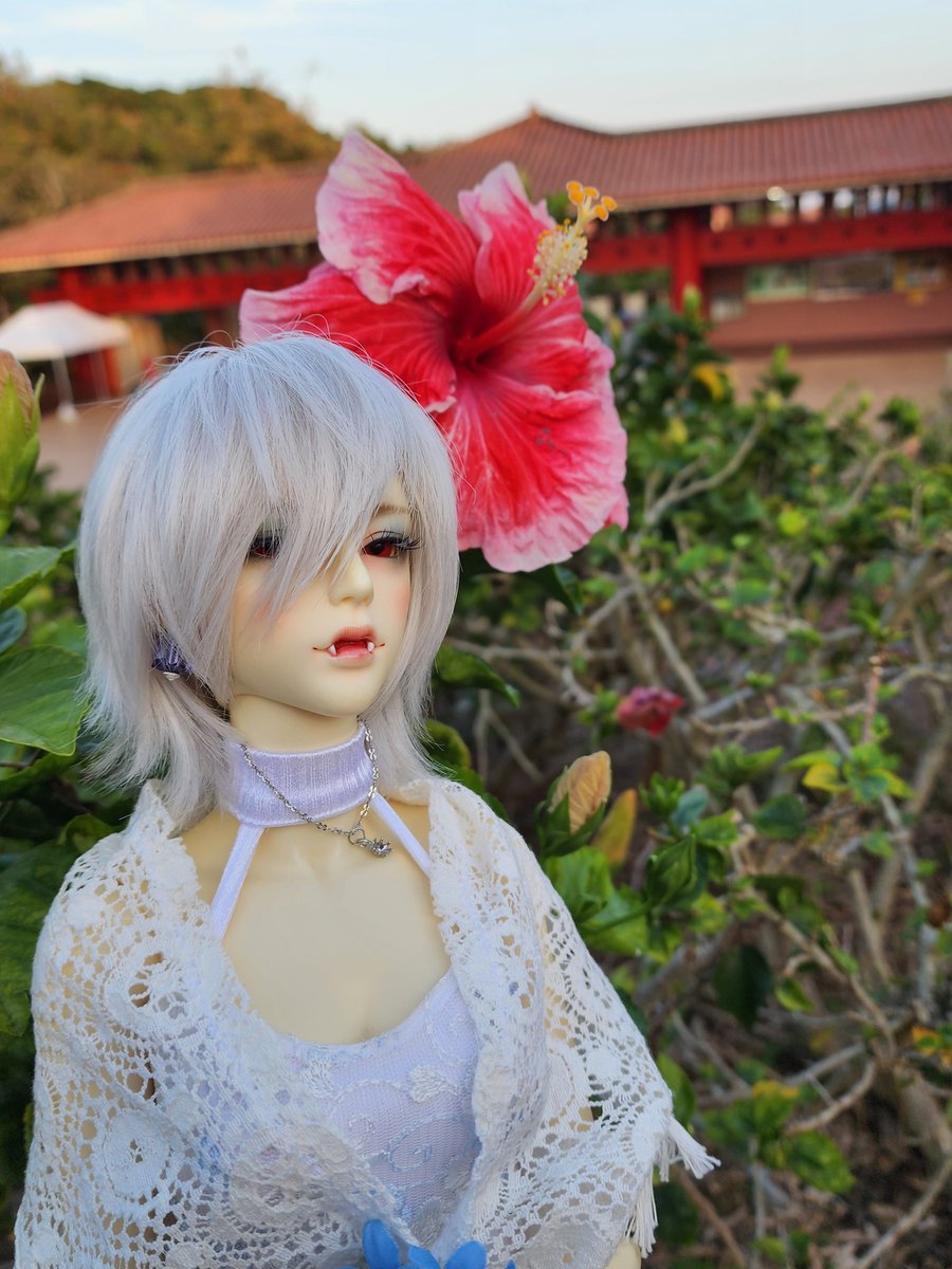 じじぃ tweet media