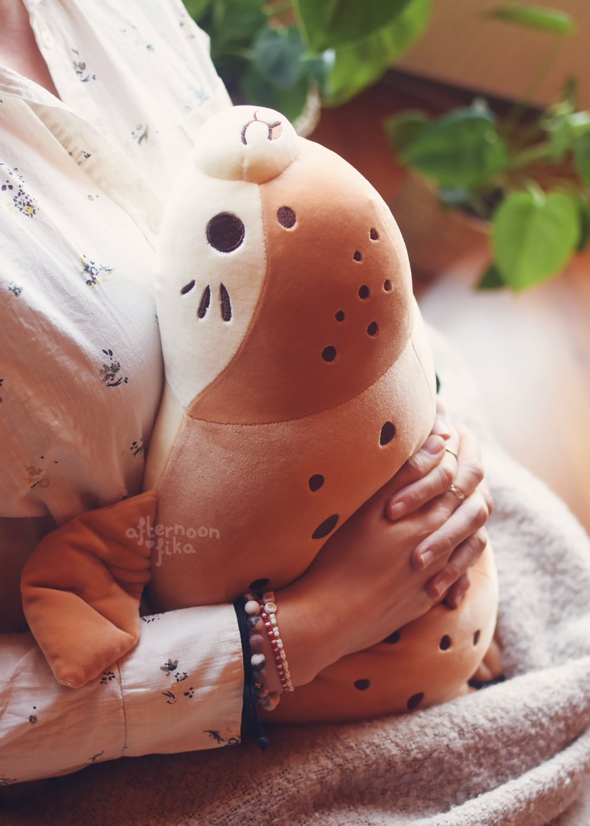 Ida Ꮚ•ꈊ•Ꮚ tweet media