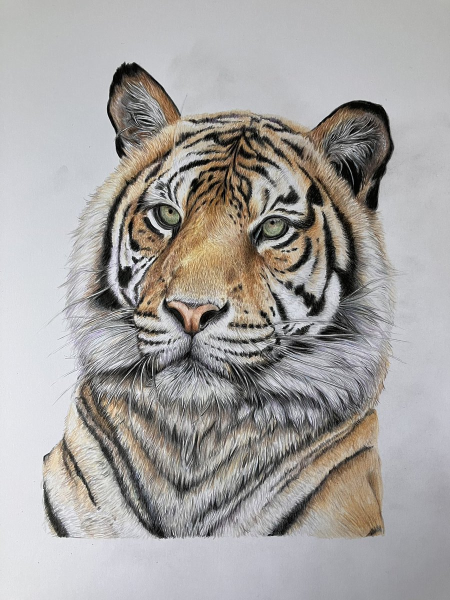 Lisa Wellwood Artist tweet media